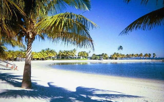 Matheson Hammock Park lagoon swimming